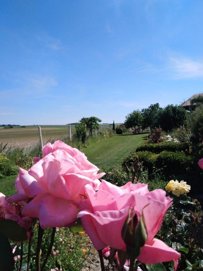 A L Epoque Bed & Breakfast Bouges  Luaran gambar